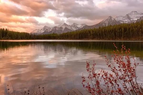 1983亥时出生的命运解析:人生旅途中的阴阳与机遇 1983亥时出生的命运解析:人生旅途中的阴阳与机遇