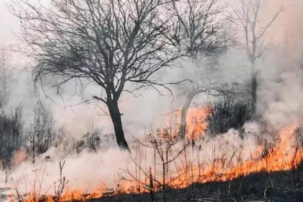 女天上火命与最配命理:浪漫爱情的最佳结合 女天上火命与最配命理:浪漫爱情的最佳结合