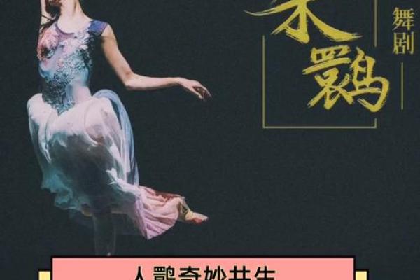 1986年12月15日出生的人命运解析：奇妙的生命旅程与性格特点