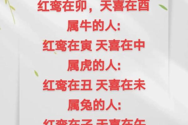 1984年的属相与命理解析：探索生肖与人生之道