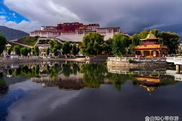 今生没有父亲：一段关于成长与自我的心灵旅程