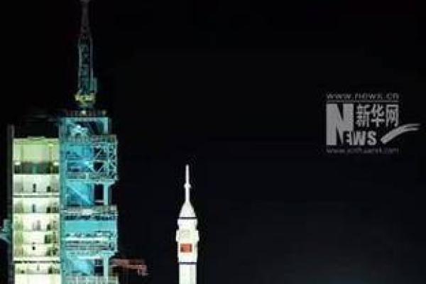 1995年正月二十：探索命理奥秘与人生智慧