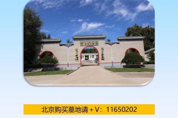 松柏土命的优势与生活中的运用