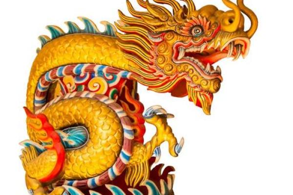 土龙命:命运与个性的深度解析 土龙命:命运与个性的深度解析