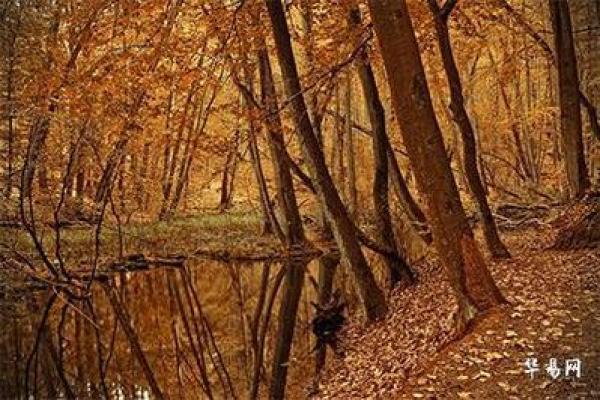 解析1987820属什么命，揭开命理之谜！