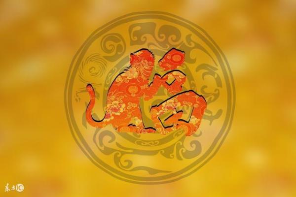 生肖龙五个土命的神秘解读与生活智慧