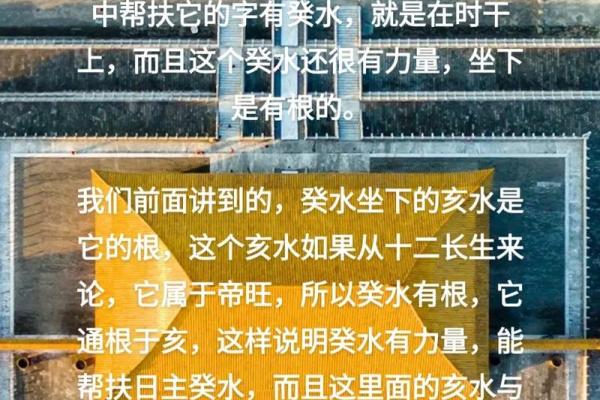 探索命理：癸未、癸亥、辛亥、丁酉的命运特征与人生启示