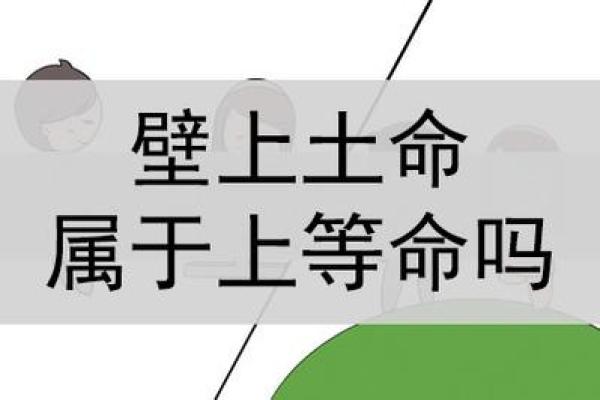 从鼠壁上看土命如何选择合适的干妈 从鼠壁上看土命如何选择合适的干妈