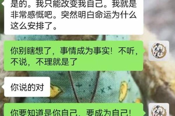 1995年正月猪年出生的人，命运与性格解析