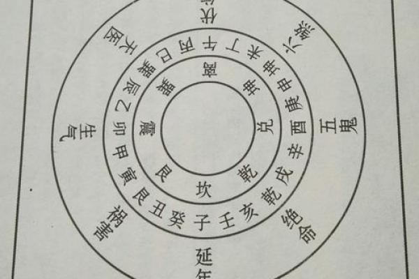 震命与坤命的深层意义与人生启示 震命与坤命的深层意义与人生启示