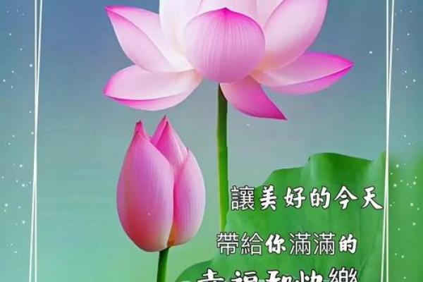 19901205出生者的命运解析:探索独特的人生轨迹与内心世界 19901205出生者的命运解析:探索独特的人生轨迹与内心世界