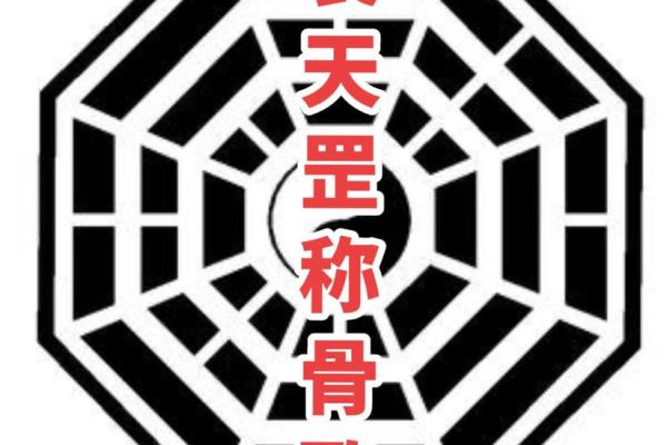 三俩二钱命女的幸福人生解析与心灵成长之路