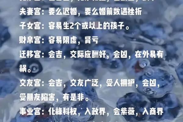 命盘解析:身主与命主的奥秘探讨,揭示人生潜力与命运路径 命盘解析:身主与命主的奥秘探讨,揭示人生潜力与命运路径