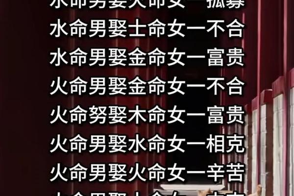 探秘木命：最佳命格的内涵与优势分析