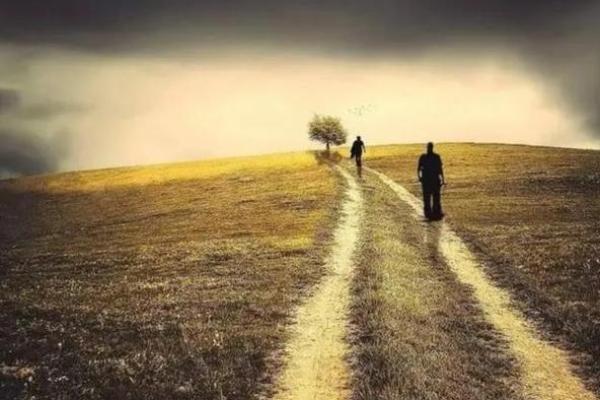 《甲你惜命命:关于生命的启示与思考》 《甲你惜命命:关于生命的启示与思考》