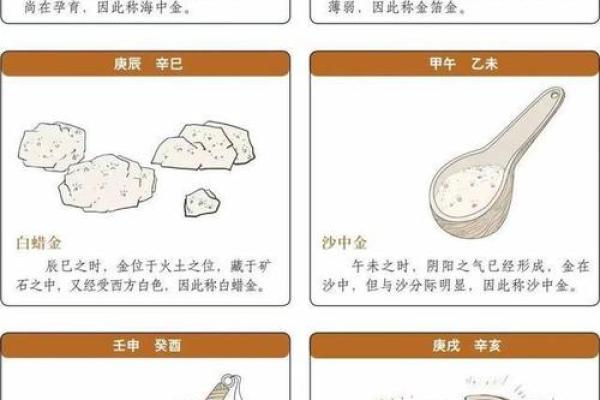 杨柳木命者适合的职业与发展方向探秘