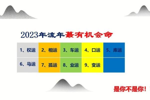 如何通过命理学解读你的命格，找寻生命的方向与意义