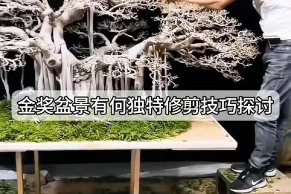 虎年兵灾与兔年命运的独特联系探讨