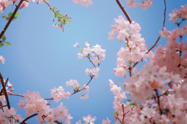 1992年出生的猴年水命,探索命运与生活的深层寓意 1992年出生的猴年水命,探索命运与生活的深层寓意