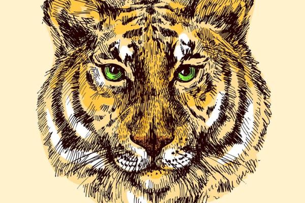 水蛇之命适合的生意解析：掌握运势，开启成功之路！