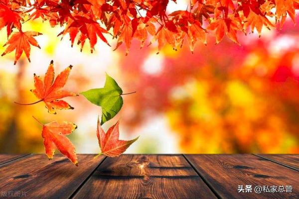 1988命卦分析：探寻命运背后的奇妙之旅