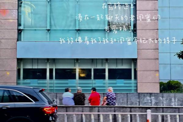 1988命卦分析：探寻命运背后的奇妙之旅