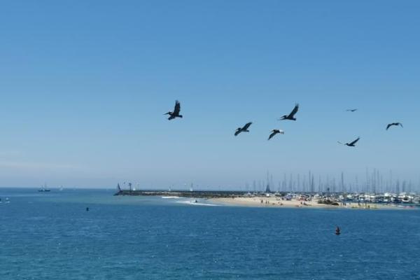 2023年:水兔之年,探索机遇与成长的旅程 2023年:水兔之年,探索机遇与成长的旅程