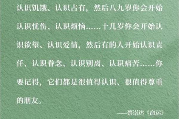 1998年出生的人命运解析：探秘“土命”的人生旅程与磁场能量