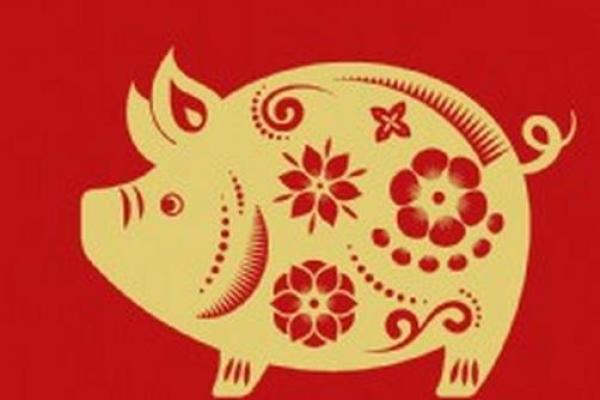 1995年属猪的命运与运势解析,助你迎接人生挑战! 1995年属猪的命运与运势解析,助你迎接人生挑战!