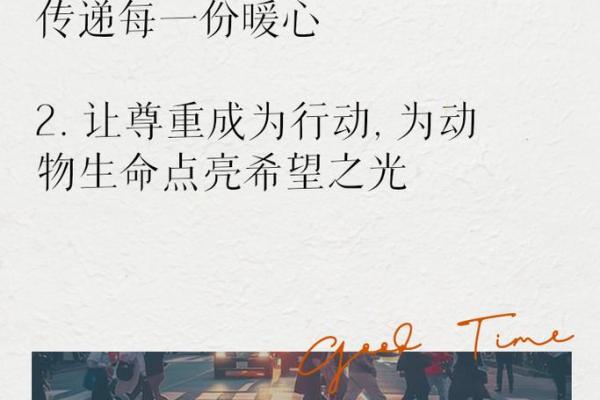 赦命之宝:生命的重启与希望之光 赦命之宝:生命的重启与希望之光