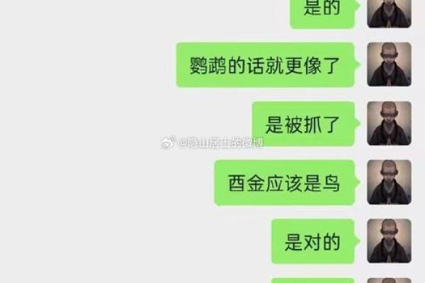 男命不利于女命的深层解析：如何理解命理中的性别关系