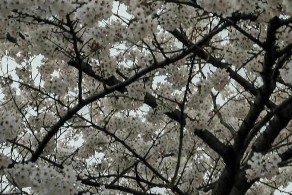 命运交错:一场偶然改变了人生的成语故事 命运交错:一场偶然改变了人生的成语故事