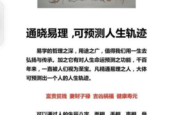 2017年属鸡人的命运解析:从五行看人生轨迹与发展机会 2017年属鸡人的命运解析:从五行看人生轨迹与发展机会