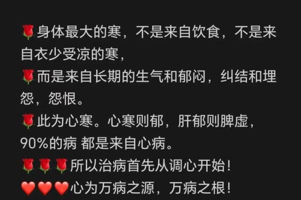 中医智慧：探寻“治病”与“治命”之道