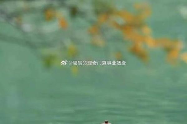 石榴木女命合适的命理搭配,助你找到命中注定的另一半! 石榴木女命合适的命理搭配,助你找到命中注定的另一半!