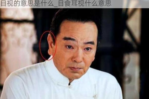 探寻中国成语的奥秘与魅力，领略文化的精髓与智慧