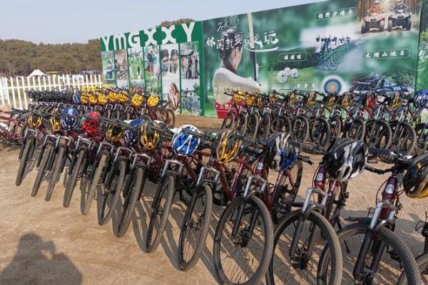 19900929出生的人生解析：命运的奇妙之旅与自我发现