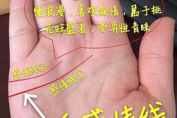 男人断掌的命运解析：好运与人生的秘密