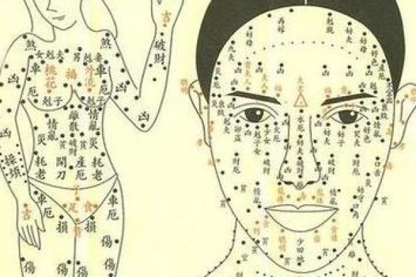 1992年出生的水命人：命运与性格的深刻解析