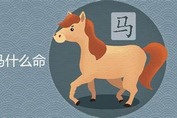 1999属马的命运解析：从性格到事业的全面解读