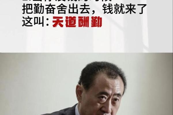 生肖与命运：揭开命理的神秘面纱，找寻人生的出路！