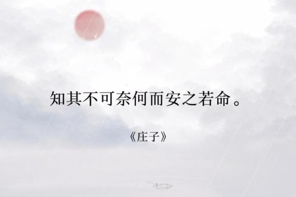 末命:生命中的不可预测与自我救赎之道 末命:生命中的不可预测与自我救赎之道