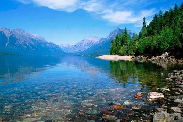 女杨柳木命与何命最匹配？解析和谐人生之道