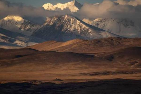 1972年水鼠命的力量与智慧：探寻不可思议的人生旅程