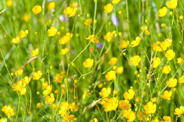 2023年火命的运势分析与注意事项，趋吉避凶帮你顺利渡过这一年！