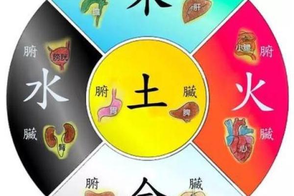 探寻2001年正月十八的命运之道：人生与五行的启示