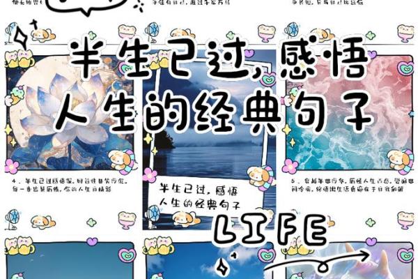 命卦中离命的深意与智慧：探索命运的真谛与人生的选择