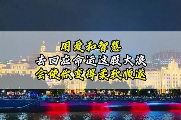 2017丁酉年：命运的钥匙与生活的智慧