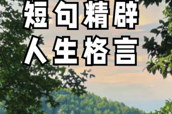 探索199572的命理奥秘：揭示数字背后的秘密与人生启示