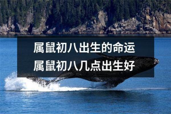 1972年属鼠：命理解析与人生启示
